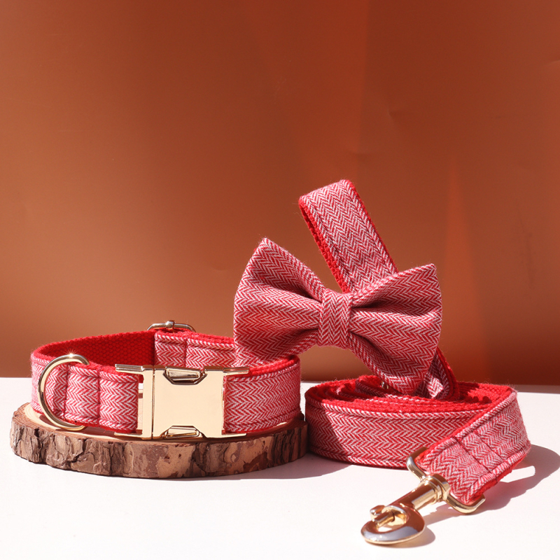 Šunų antkaklis su kaspinu, reguliuojamas dirželis, išgraviruojamas, švelnus kaklui, metalinė sagtis nuo praradimo