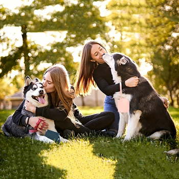 Τσάντα μεταφοράς τροφής σκύλου | Υλικό: σιλικόνη + σκραπνέλ, σχήμα τσάντας χεριού, πολυχρηστική, κατάλληλη για ταξίδια