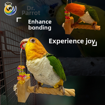 Παιχνίδι δαγκώματος για παπαγάλο – ξύλινο και ακρυλικό, διαδραστικός περιστρεφόμενος σχεδιασμός; Μάρκα Doctor Parrot; Κατάλληλο για παπαγάλους