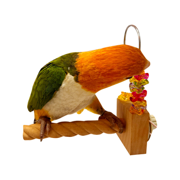 Παιχνίδι δαγκώματος για παπαγάλο – ξύλινο και ακρυλικό, διαδραστικός περιστρεφόμενος σχεδιασμός; Μάρκα Doctor Parrot; Κατάλληλο για παπαγάλους