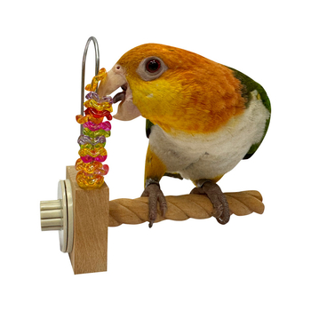 Παιχνίδι δαγκώματος για παπαγάλο – ξύλινο και ακρυλικό, διαδραστικός περιστρεφόμενος σχεδιασμός; Μάρκα Doctor Parrot; Κατάλληλο για παπαγάλους