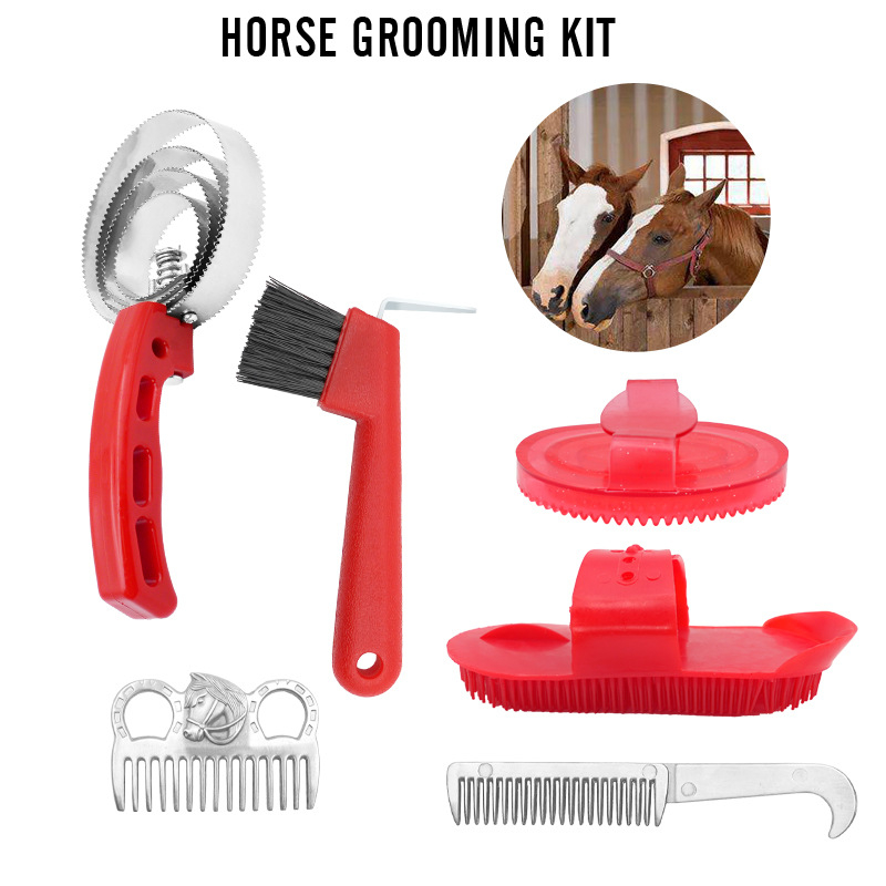 Σετ περιποίησης αλόγων από ABS υλικό — περιλαμβάνει Hoof hook, βούρτσα αλόγου, χτένα κεφαλής αλόγου, χτένα περιποίησης και μαγική βούρτσα πλυσίματος; κουτί 200 τεμάχια; προσαρμόσιμο.