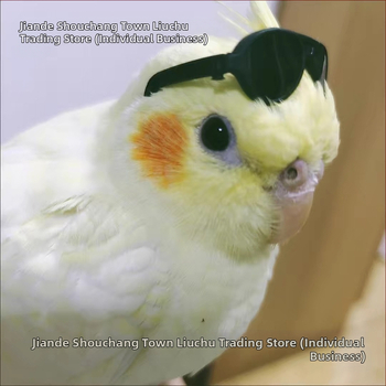 Παπαγάλος Xuanfeng Τεχνητά ακουστικά εξυπηρέτησης πελατών – χιουμοριστικό διακοσμητικό αξεσουάρ για φωτογράφηση; Δεν εισάγεται; Για: Άλλο; Μάρκα: Άλλο