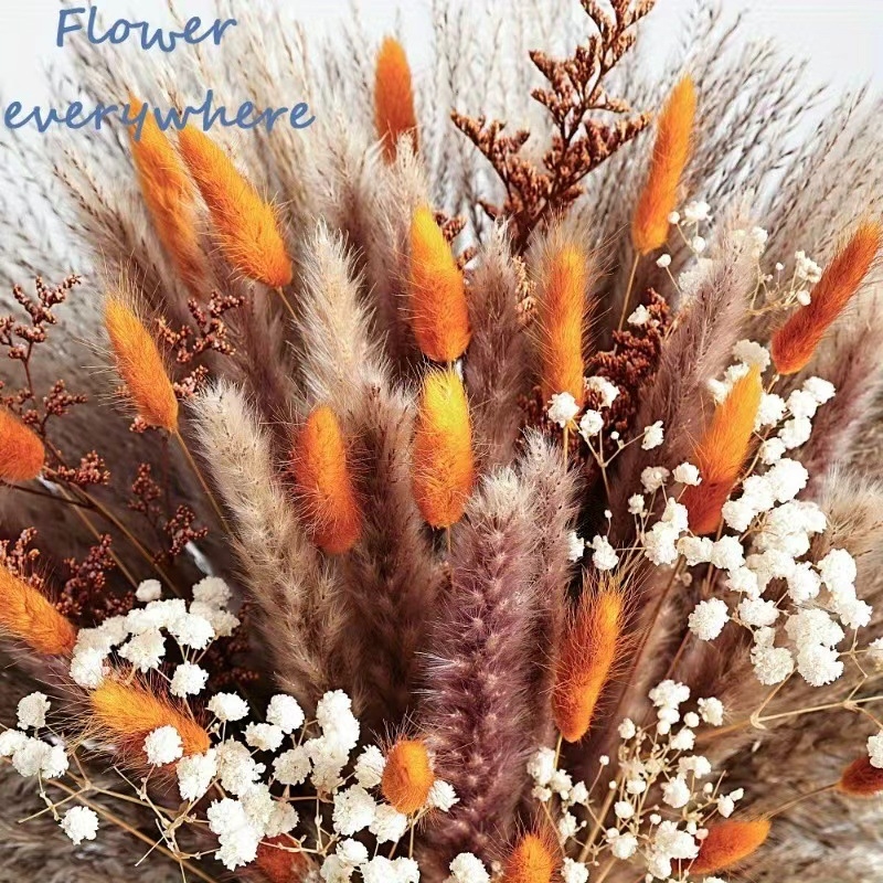 Μπουκέτο αποξηραμένων Pampas λουλουδιών με χόρτο ουράς λαγού — Υλικό: Αποξηραμένα λουλούδια; Κωδικός προϊόντος: pampas041; Διαφορετικότητα: 28799022379; Μάρκα: Yunnan Huiyun Flowers