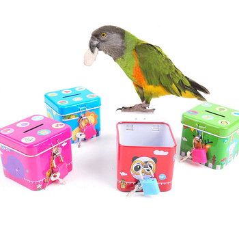 Σετ παιχνιδιών για παπαγαλάκια — 11 τεμάχια, διαδραστικό κιτ εκπαίδευσης με καρότσι/πλατφόρμα, κουδούνια και μπάλες; Υλικά: Πλαστικό, Μέταλλο, Καουτσούκ; Κωδικός: W4248; Μάρκα: Han han le; Για παπαγάλους και άλλα πουλιά