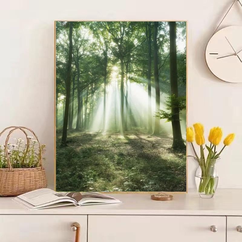 DROFE Frameless DIY цифрова маслена картина – пейзаж, модерен и опростен стил; за хол, спалня и кабинет; персонализиране налично; наличност 99999