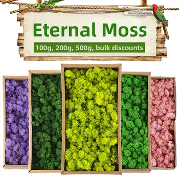 Dirbtinis samanas – rankų darbo, biomimetiška gamyba, sieninė dekoracija kraštovaizdžiui, kartoninė pakuotė