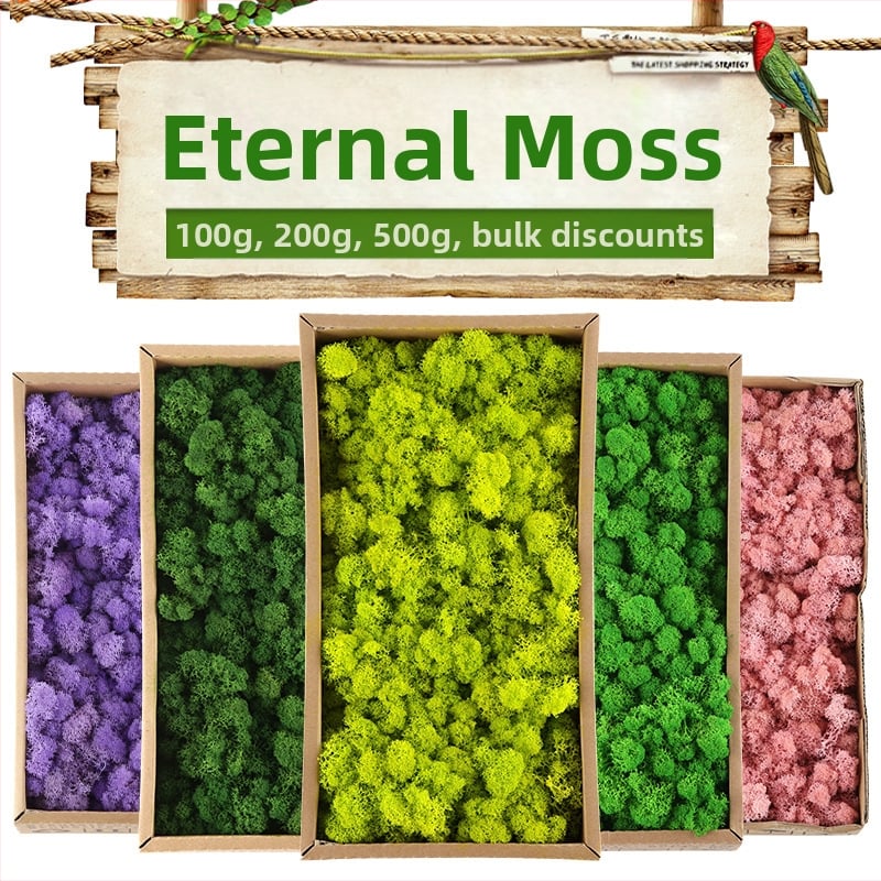 Dirbtinis samanas – rankų darbo, biomimetiška gamyba, sieninė dekoracija kraštovaizdžiui, kartoninė pakuotė