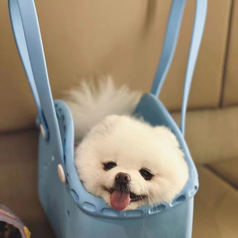 Crossbody Τσάντα για Κατοικίδια από EVA – Αδιάβροχη, Εύκολη στον Καθαρισμό, Πολυλειτουργική, Μοτίβο με Ζώα