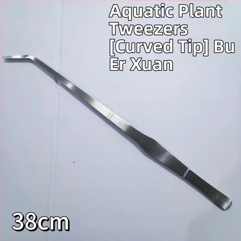 Nerūsējošā tērauda pincetes ūdens augiem, taisns gals, izturīgas pret koroziju, pielāgojamas