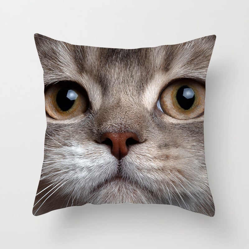 Spilvens pārvalks no velūra ar kaķa motīvu – karikatūru raksts, nordiskais stils, dzīvojamā istaba