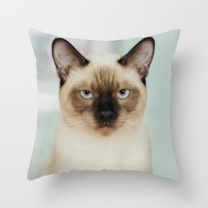 Spilvens pārvalks no velūra ar kaķa motīvu – karikatūru raksts, nordiskais stils, dzīvojamā istaba