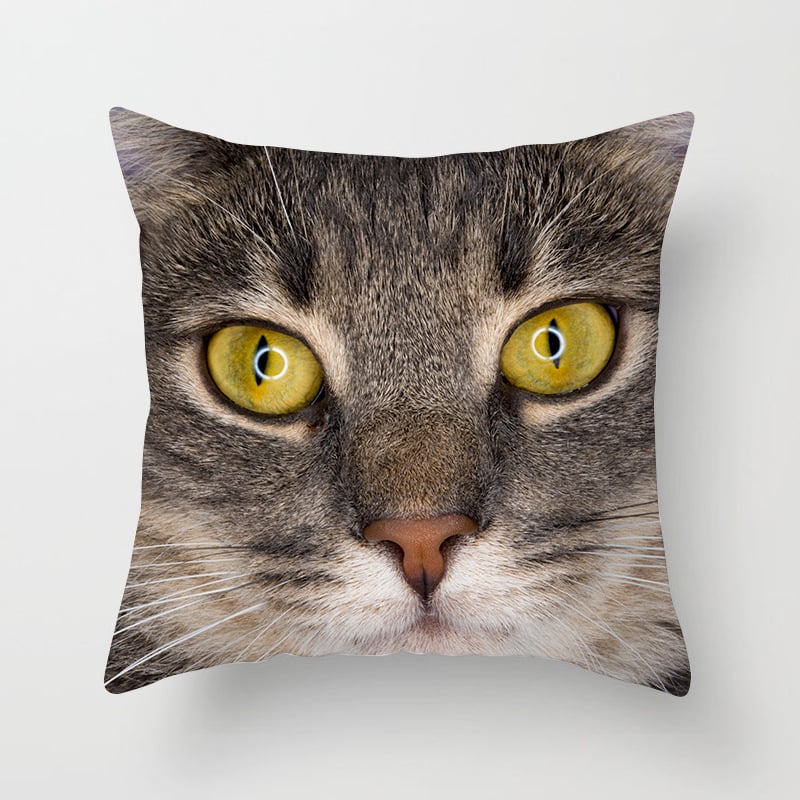 Spilvens pārvalks no velūra ar kaķa motīvu – karikatūru raksts, nordiskais stils, dzīvojamā istaba