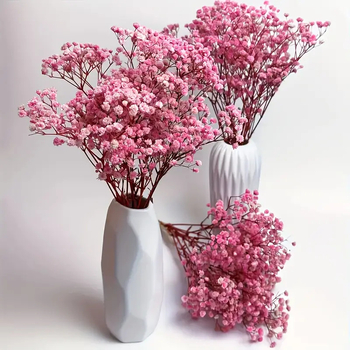 Μπουκέτο με Γυψοφίλα, Σκανδιναβικό στυλ, Υλικό: Starry sky, Άλλες αγορές, Αδειοδοτημένες ιδιωτικές μάρκες: Ναι, Εισαγωγή: Όχι