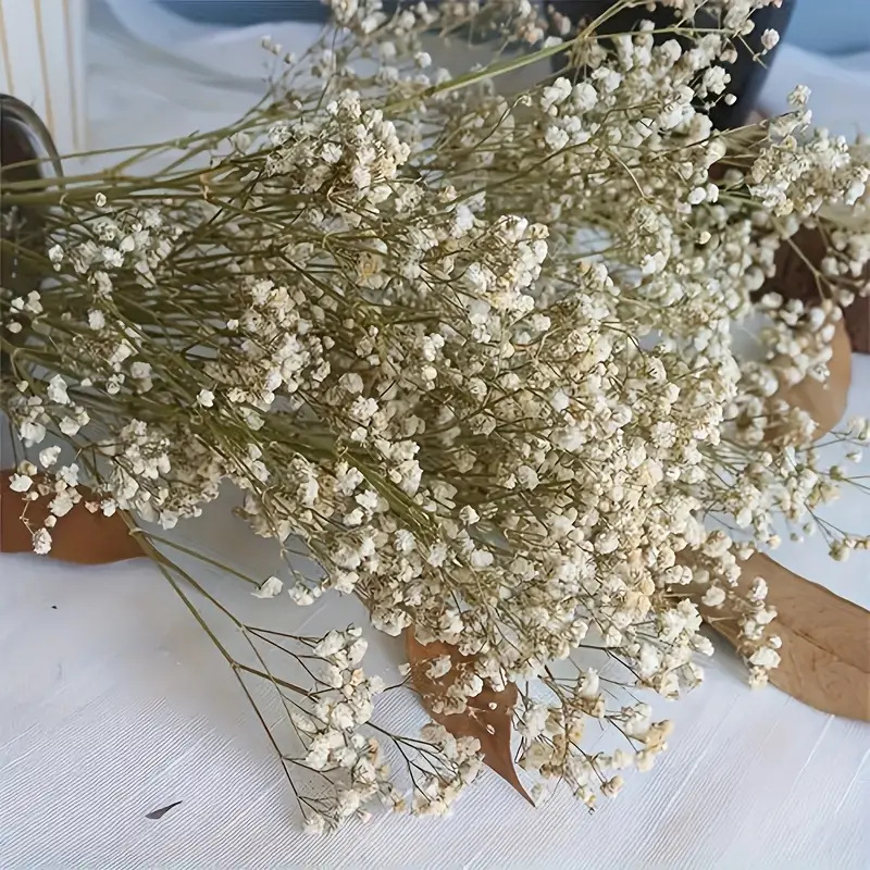 Μπουκέτο με Γυψοφίλα, Σκανδιναβικό στυλ, Υλικό: Starry sky, Άλλες αγορές, Αδειοδοτημένες ιδιωτικές μάρκες: Ναι, Εισαγωγή: Όχι