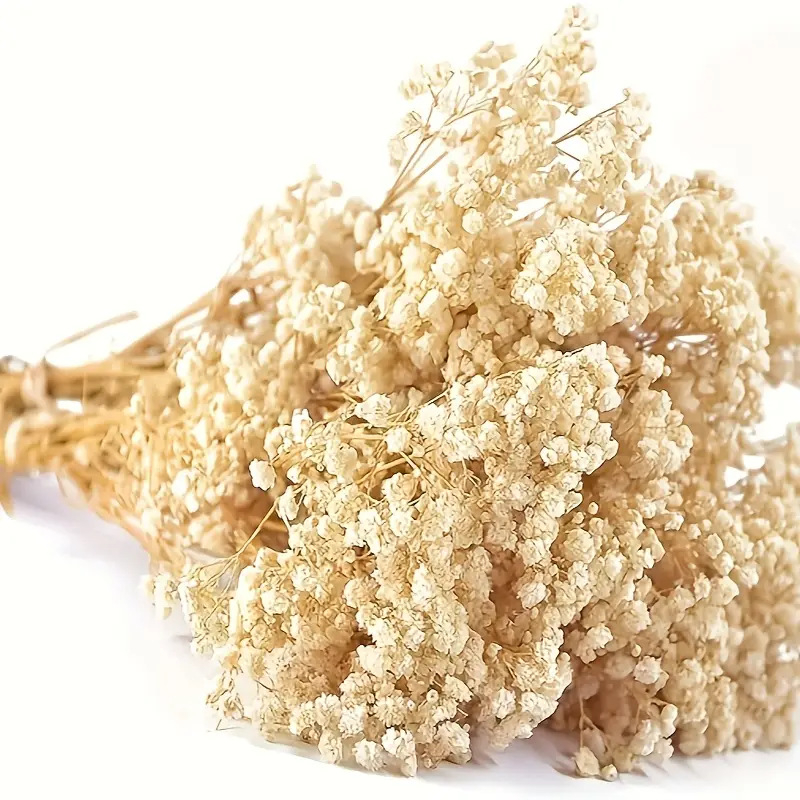 Μπουκέτο με Γυψοφίλα, Σκανδιναβικό στυλ, Υλικό: Starry sky, Άλλες αγορές, Αδειοδοτημένες ιδιωτικές μάρκες: Ναι, Εισαγωγή: Όχι