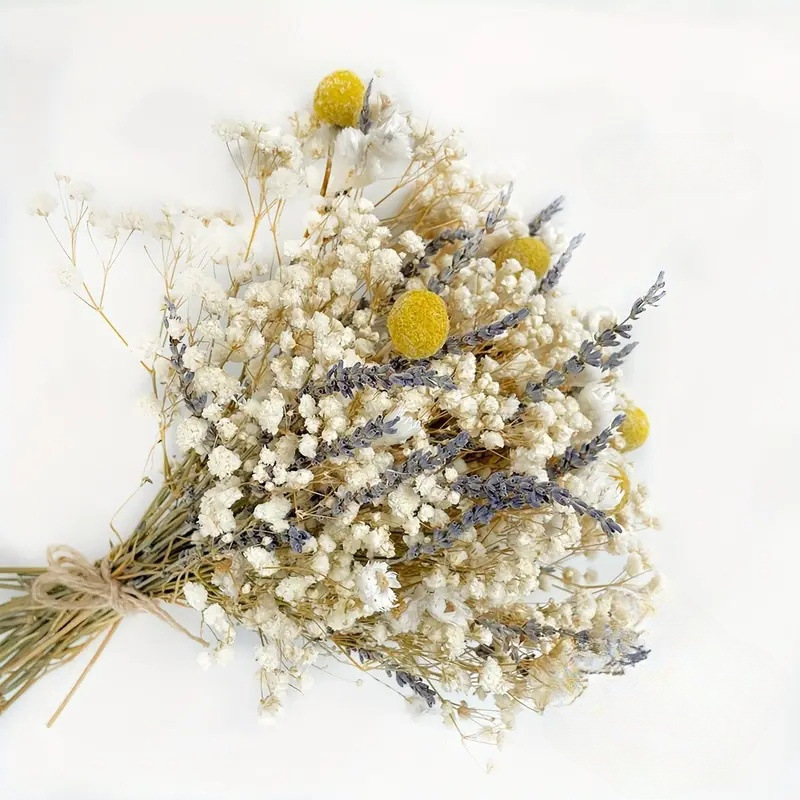 Μπουκέτο με Γυψοφίλα, Σκανδιναβικό στυλ, Υλικό: Starry sky, Άλλες αγορές, Αδειοδοτημένες ιδιωτικές μάρκες: Ναι, Εισαγωγή: Όχι
