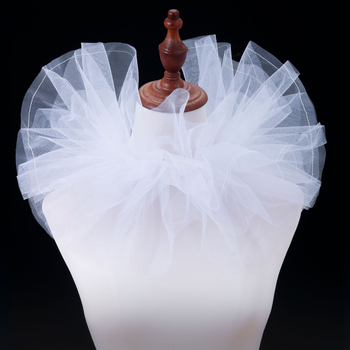 Δίκτυωτή φουσκωτή ψεύτικη κολάρα λαιμού για Χάλογουίν και masquerade – Αξεσουάρ φωτογράφισης (Υλικό: Δίκτυο; Εσωτερική επένδυση: Πολυεστέρας; Μονόχρωμο σχέδιο; Στυλ: Μοντέρνο; Σεζόν: Χειμώνας 2024)