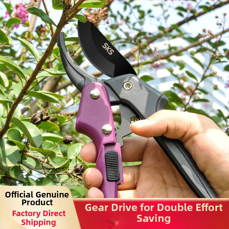 Hengheng SK5 стомана, ножици za подрязване на плодни дървета, зъбна предавка и ролков механизъм, улеснение на труда, професионален градински инструмент