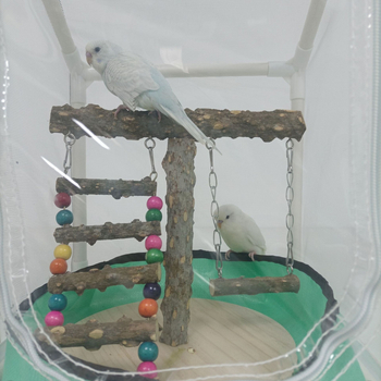 Φωλιά παπαγάλου με διαπερατό δίχτυ – αποτρέπει τη ρίψη φτερών, διακοσμητική φωλιά, σκηνή ύπνου από πλαστικό; καταγωγή Γκουανγκντονγκ