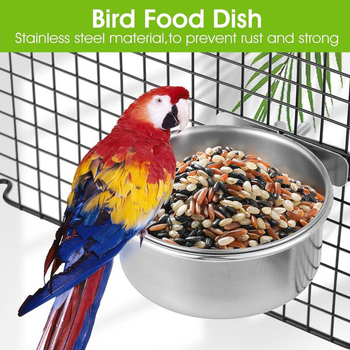 Σετ τροφοδοσίας πτηνών — μπολ φαγητού και νερού από ανοξείδωτο ατσάλι για πουλιά, είδος: πουλί, ηλικία: ενήλικος, εισαγωγή: όχι
