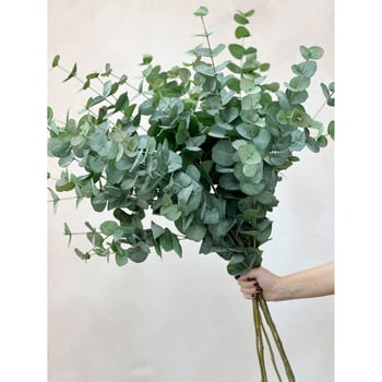 Τεχνητός κορμός ευκάλυπτου με ρεαλιστική αφή, κατασκευή προσομοίωσης, υλικό: άλλο, κωδικός προϊόντος sh40619669