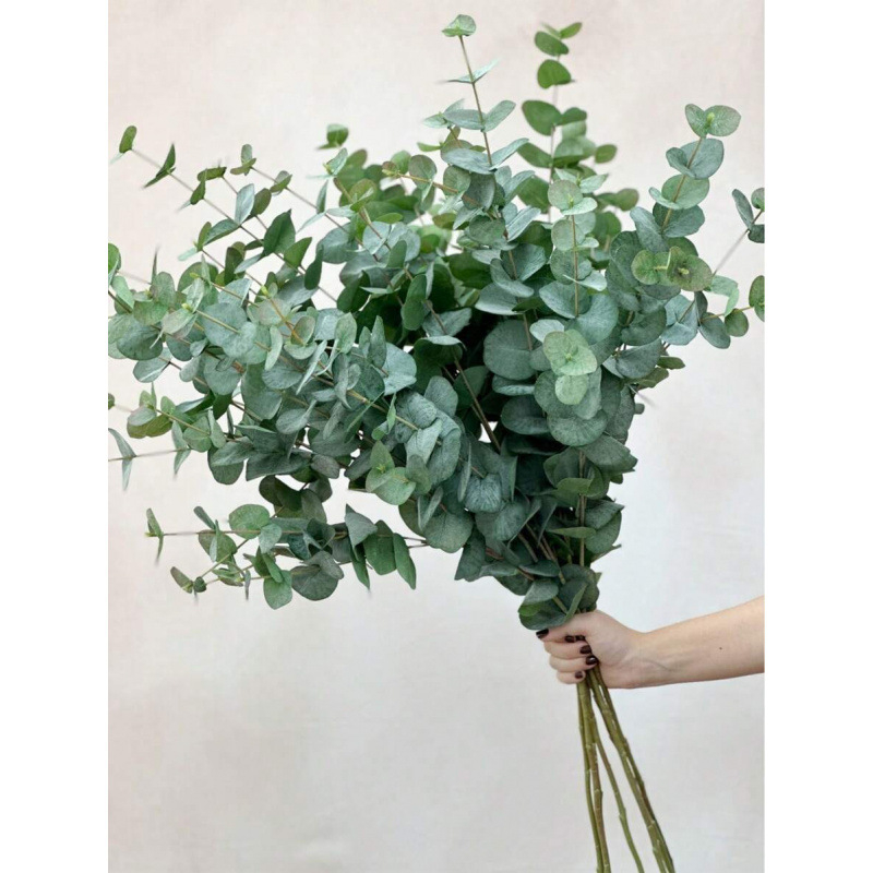 Τεχνητός κορμός ευκάλυπτου με ρεαλιστική αφή, κατασκευή προσομοίωσης, υλικό: άλλο, κωδικός προϊόντος sh40619669