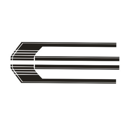 Στικέρ για το αμάξωμα Ford F-150 με γραφικό σχέδιο, υλικό από χαρτί, προσαρμοζόμενο, εγκατάσταση με κόλλα