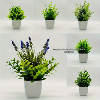 Τεχνητό επιτραπέζιο φυτό σε γλάστρα για διακόσμηση — Υλικό: Πλαστικό, Κατασκευή: Χύτευση με έγχυση, Χρήσεις: διακόσμηση σπιτιού, αξεσουάρ φωτογράφισης, γάμοι