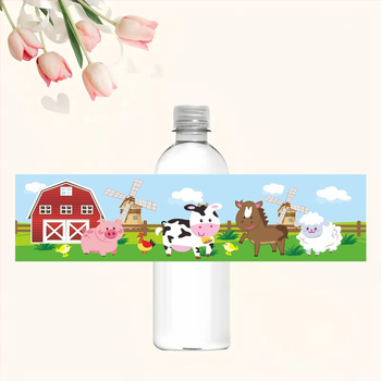 Етикет за бутилка минерална вода, карикатурен стил, хартия, pull-flag, реквизит за оформление на сцената