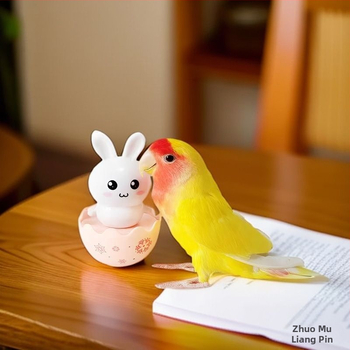 Παιχνίδι δαγκώματος για παπαγάλους με ταλαντευόμενο μηχανισμό για ανακούφιση άγχους — Υλικό: Πλαστικό • Μάρκα: Parrot Handsome • Για παπαγάλους • Δεν εισάγεται