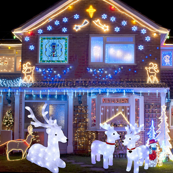 LED akrilo elnio dekoratyvinė lauko Kalėdų kiemo šviesa, IP65, 220V DC maitinimas, 300W, valdymas mygtuku