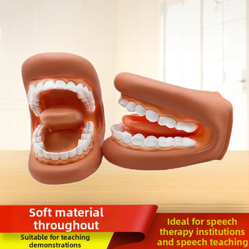 Μοντέλο διδασκαλίας της κοιλότητας δοντιών – εργαλείο οδοντιατρικής εκπαίδευσης για παιδιά με επίδειξη βουρτσίσματος (Αριθμός προϊόντος 1001188344; Κατηγορία: Other; Λειτουργία: Other; Υλικό: Other)