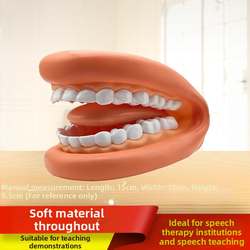 Дентален обучителен модел на устната кухина – инструмент за стоматологично образование за деца, демонстрация на миене на зъби (№ 1001188344; Категория: Other; Функция: Other; Материал: Other)