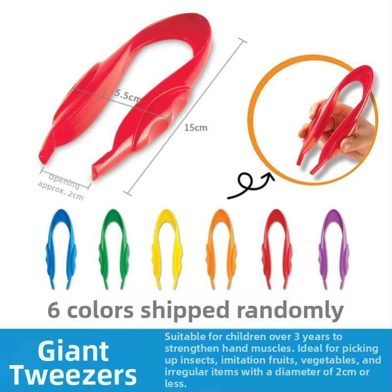 Montessori ugdymo žaislas: metalinės žnyplės smulkiajai motorikai, moksliniams stebėjimams (Kilmė: Pekinas; Amžius: 0-2 metai)