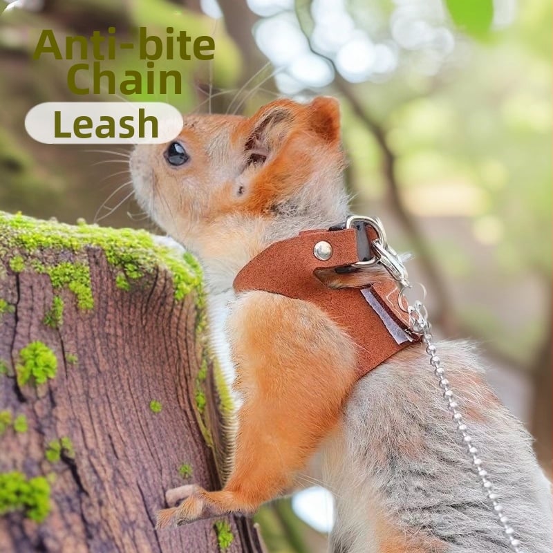 Σετ ιμάντων και σχοινιού για κουνέλια και σκίουρους — ιμάντες στήθους-πλάτης με προστασία από δάγκωμα και πνιγμό