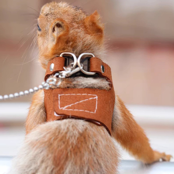 Harnas za šetnju hrčka, filc materijal, pakiranje 500 kom, težina oko 12 kg