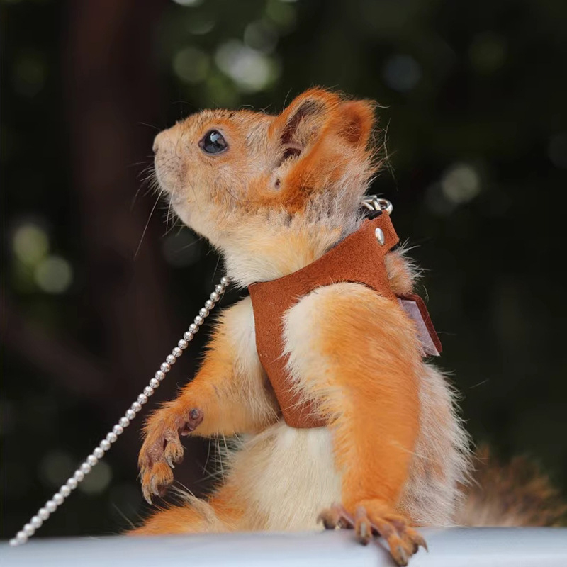 Harnas za šetnju hrčka, filc materijal, pakiranje 500 kom, težina oko 12 kg