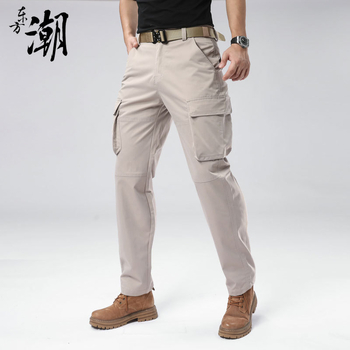 Ανδρικά casual cargo παντελόνια, χαλαρή γραμμή, μεσαία μέση, φερμουάρ, 100% πολυεστέρας