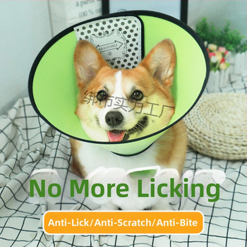 Κολάρο Ελισαβέτον για κατοικίδια – Εκτεταμένη προστασία από γλείψιμο και δάγκωμα, προστατευτικό λαιμού (Υλικό: Άλλο; Κρεμαστό: Άλλο; Σχήμα: Άλλο; Περίοδος: Χειμώνας 2025)