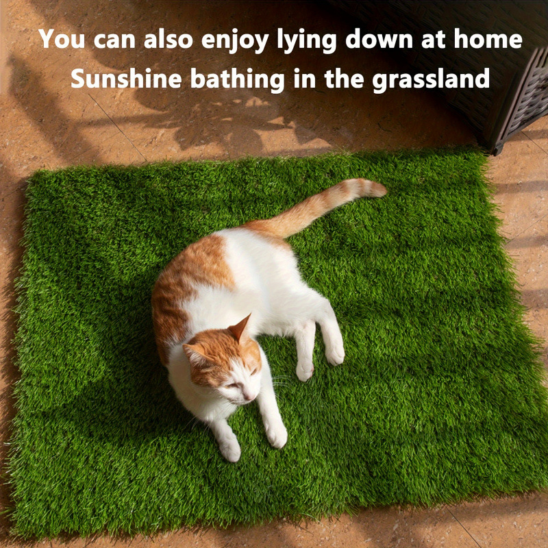 Covoraș de antrenament pentru câini – interior și exterior, suprafață TPR