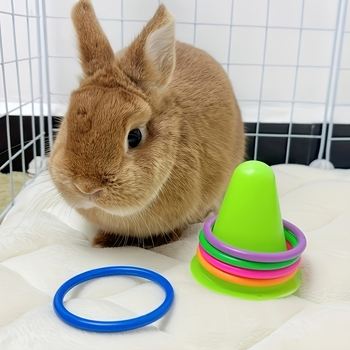 Παιχνίδι μάσησης για σκύλους σε σχήμα δαχτυλιδιού, πλαστικό, κωδικός jd601100759932332