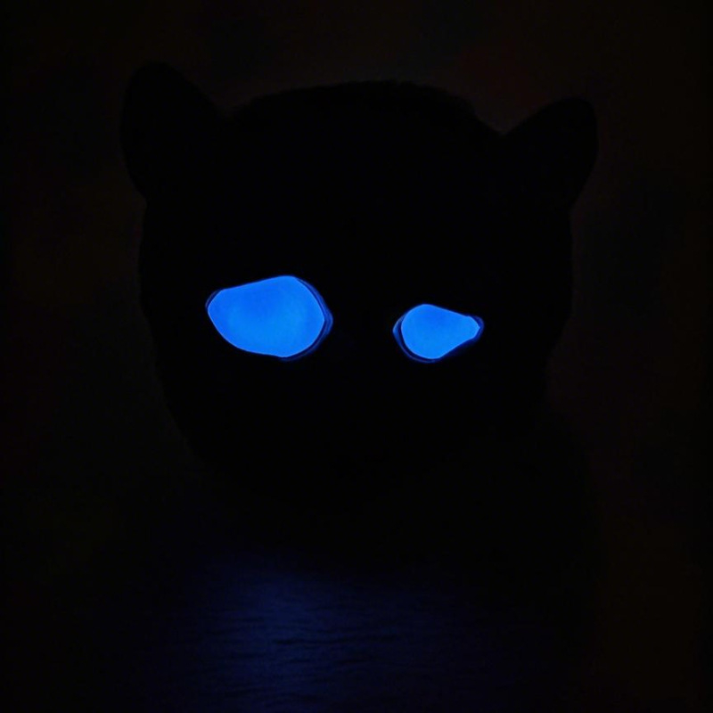 Nintendo Switch karšu uzglabāšanas kastīte – 12 vietas, ceļojumiem un uz galda lietošanai