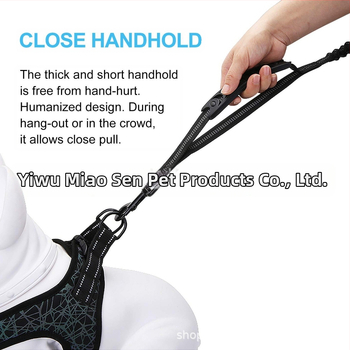 Λουρί σκύλου - Αναδιπλούμενο, Νάιλον, Πολυλειτουργικό, Zhejiang Προέλευση