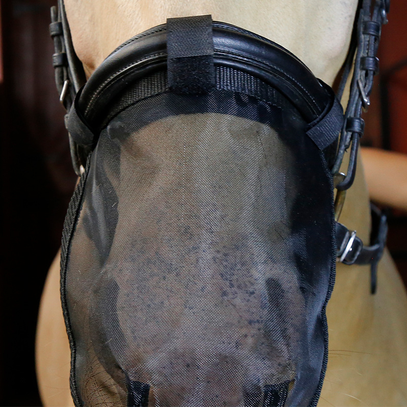Arklių vabzdžių apsauginė kaukė su akių ir nosies tinklais, poliesterio pluoštas, galvos apsauga, modelis 8218142