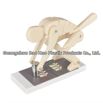 Πλαστικός μοντέλο επίδειξης φόρτισης της σπονδυλικής στήλης με βάση για ιατρική εκπαίδευση