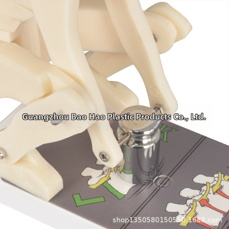 Пластмасов модел за демонстрация на натоварване на гръбначния стълб с база за медицинско обучение