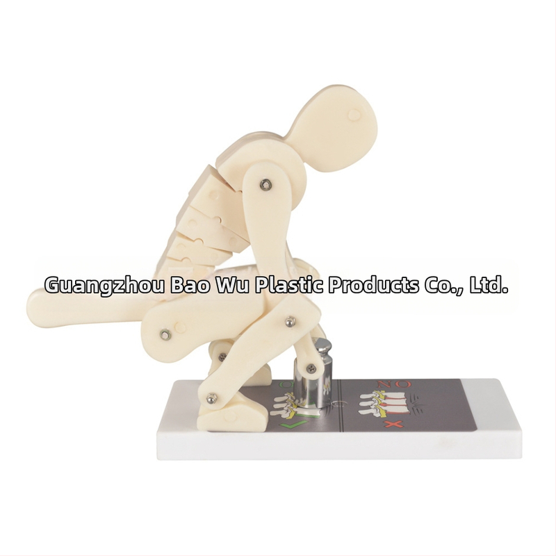 Πλαστικός μοντέλο επίδειξης φόρτισης της σπονδυλικής στήλης με βάση για ιατρική εκπαίδευση