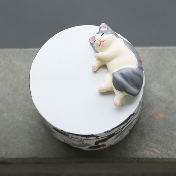 Θωρακισμένη θήκη αποθήκευσης, προστασία από τον άνεμο, απλός σχεδιασμός