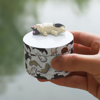 Θωρακισμένη θήκη αποθήκευσης, προστασία από τον άνεμο, απλός σχεδιασμός